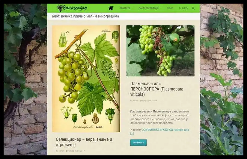 vinogradar.rs